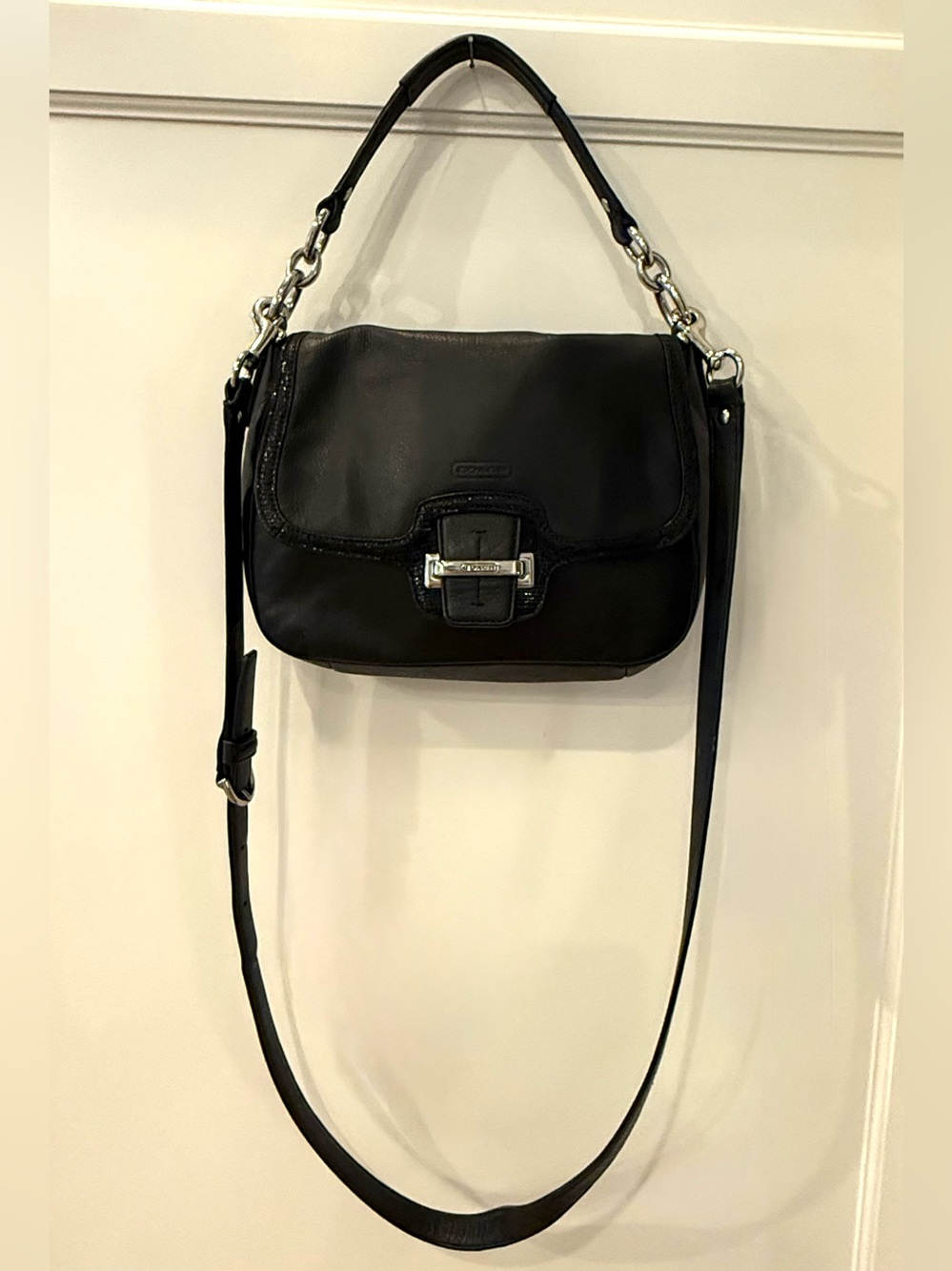 Coach Y2K Taylor Leather Crossbody. Polished Silver Hardware.